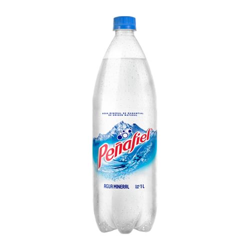 Agua Mineral Peñafiel 1L