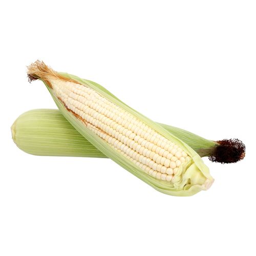 Elote por Pieza