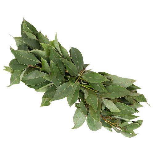 Laurel por Pieza