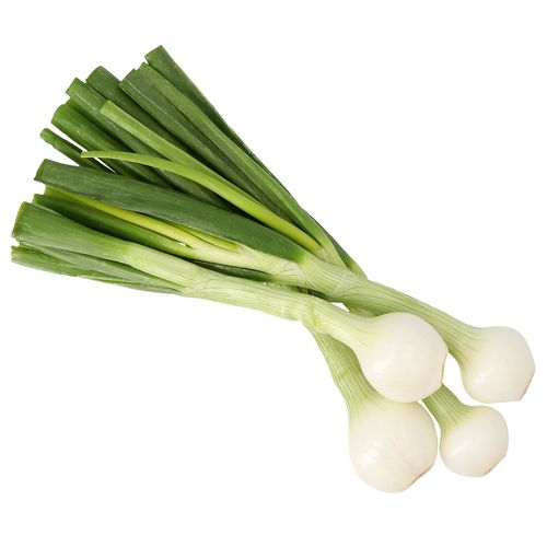 Cebolla de Rabo por kg