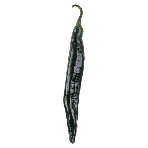 Chile Chilaca Granel Kg