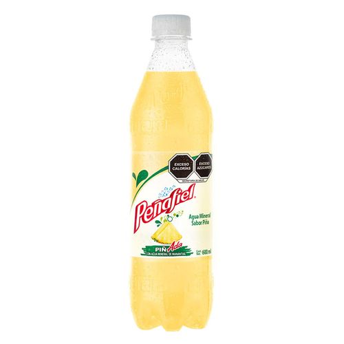Agua Mineral Peñafiel Piñada 600ml