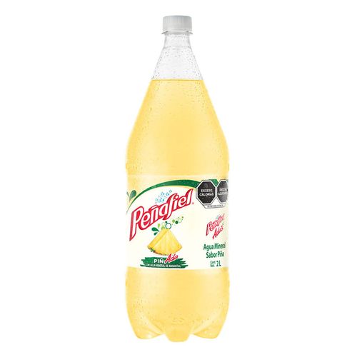 Agua Mineral Peñafiel Piñada 2L