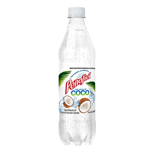 Agua Mineral Peñafiel Coco 600ml