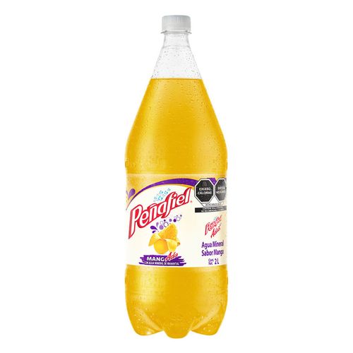 Agua Mineral Peñafiel Mangada 2L
