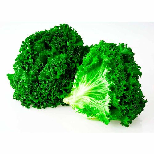 Lechuga Italiana Pieza