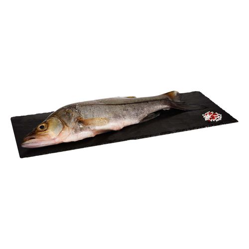 Robalo por Kg