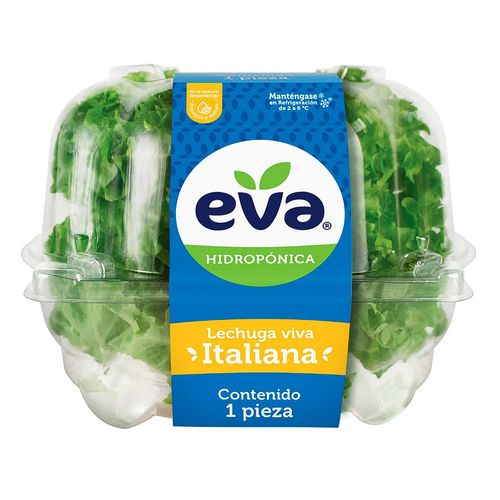 Lechuga Eva Italiana Viva 1 Pieza