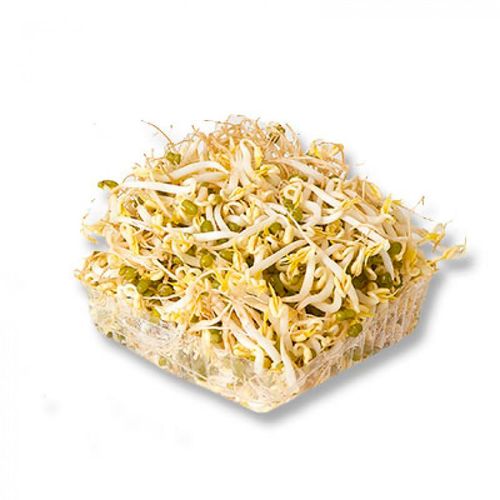 Germen de Soya por kg