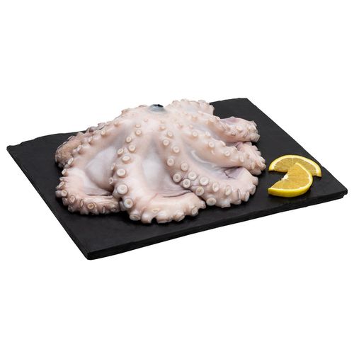 Pulpo Gigante por Kg