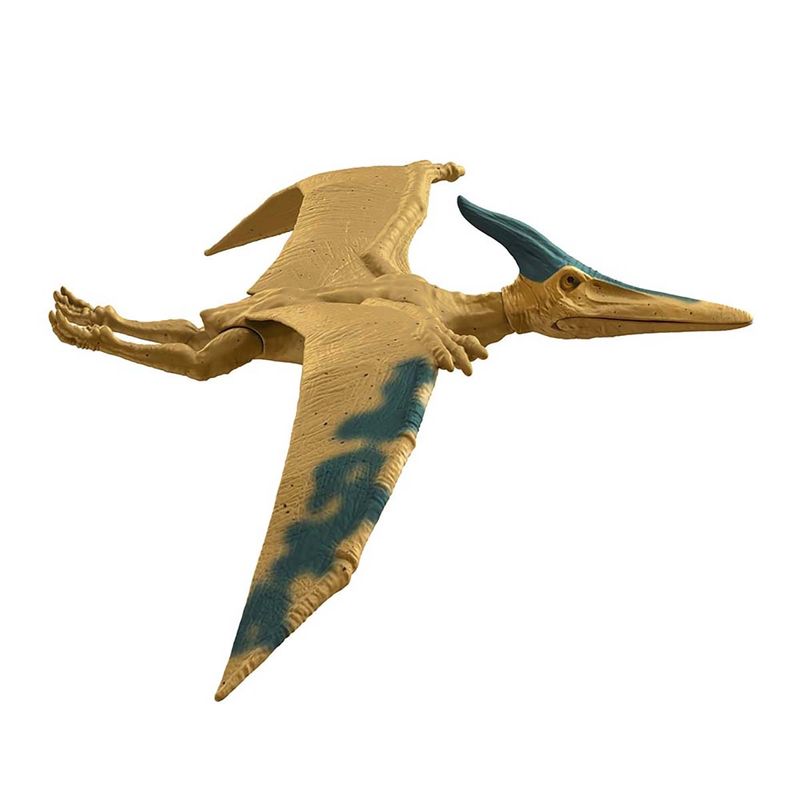 194735038589_00
