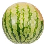 000002515387_00